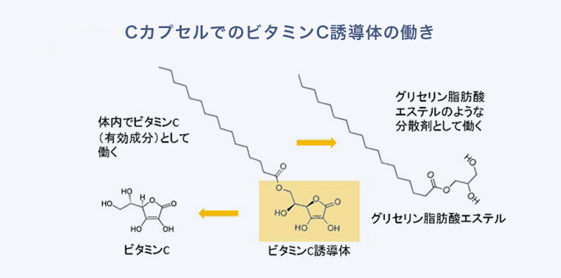 製剤技術ポイント