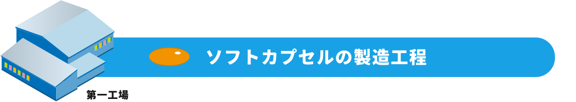 ソフトカプセルの製造工程